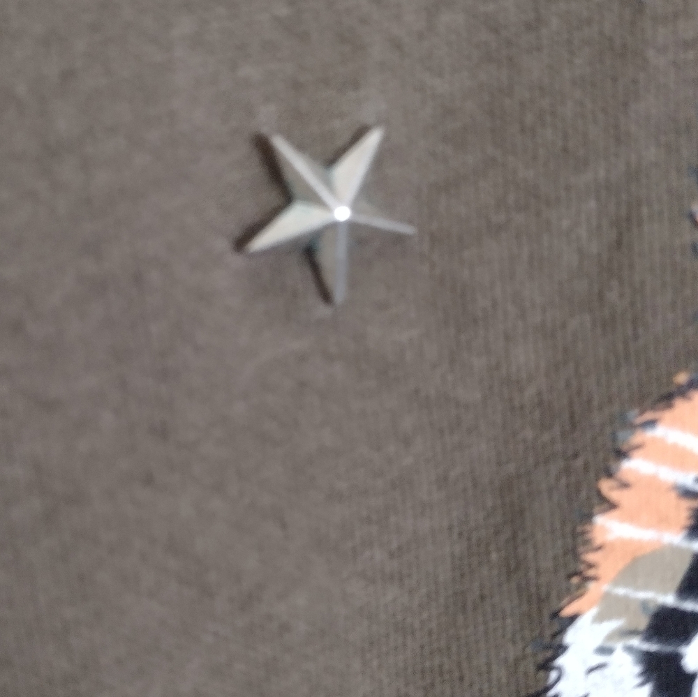Forever 21 olive green tiger sweatshirt with star shaped hardware size medium - Picture 4 of 10